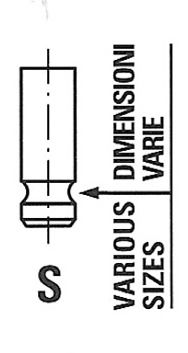 Válvula de escape FRECCIA R7029/BMARCR para Nissan Sentra VII