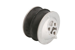 Soporte de motor LEMA