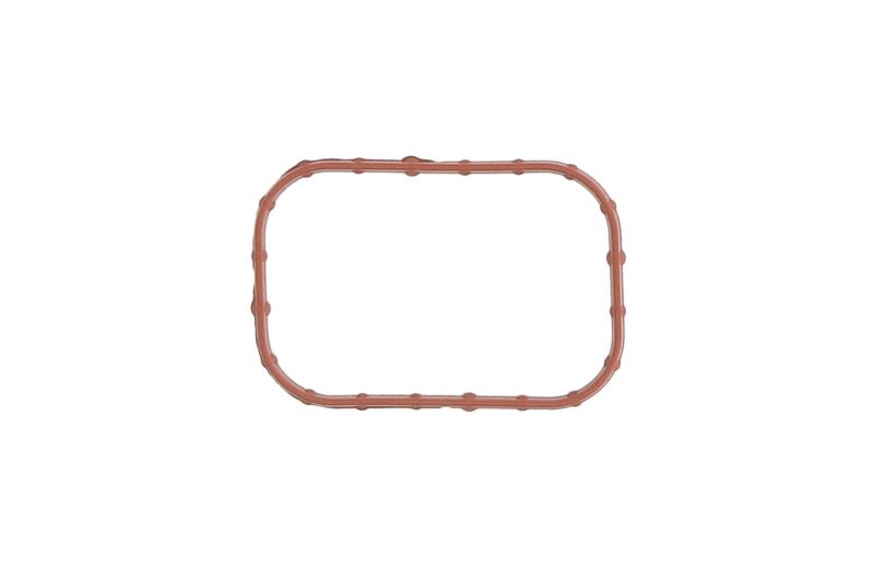 Empaquetadura de múltiple de admisión REINZ 71-11084-00 para Ford Focus IV