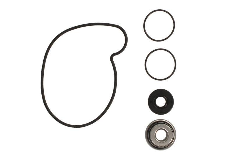 Kit de reparación para bomba de agua WINDEROSA W821969 para Polaris RZR