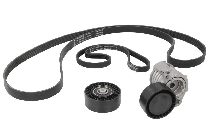 Juego de correa multinervada INA 529 0359 10 para BMW Serie 1 (E87) 2004-2011