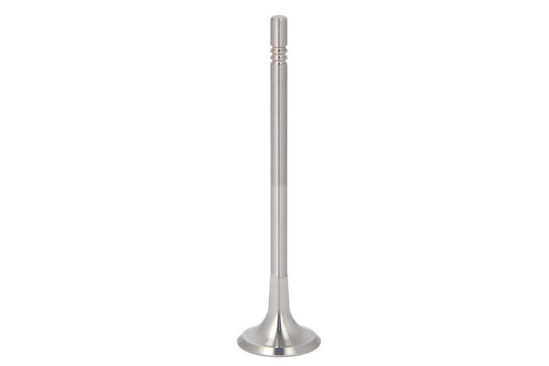 Válvula de escape TRW 331166 para Volkswagen Golf VIII