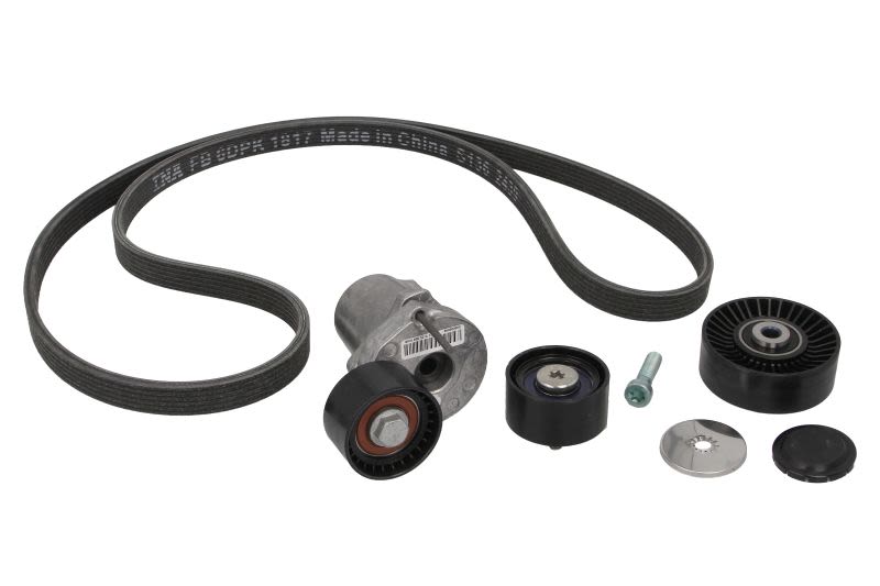 Juego de correa multinervada INA 529 0368 10 para BMW Serie 1 (E81) 2006-2011