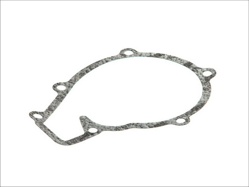 Empaquetadura de bomba de agua DT SPARE PARTS 3.16102 para MAN TGM I D0824FL01-D0836LUH51