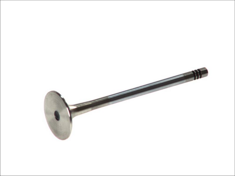Válvula de escape FRECCIA R6189/BMARCR para Audi A3