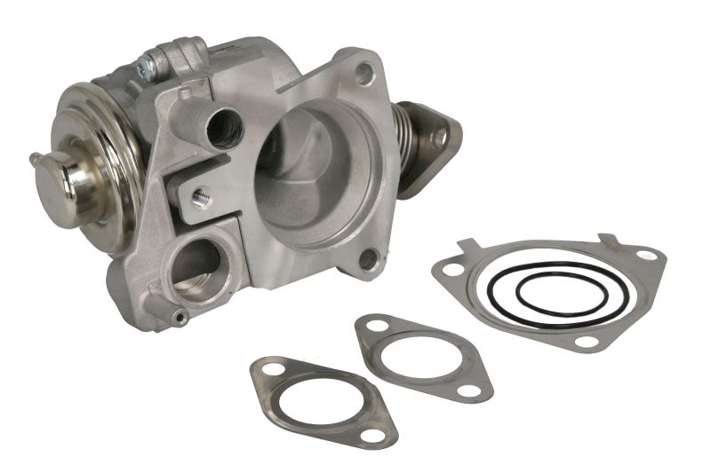 Válvula EGR DELPHI EG10527-12B1 para Peugeot Boxe