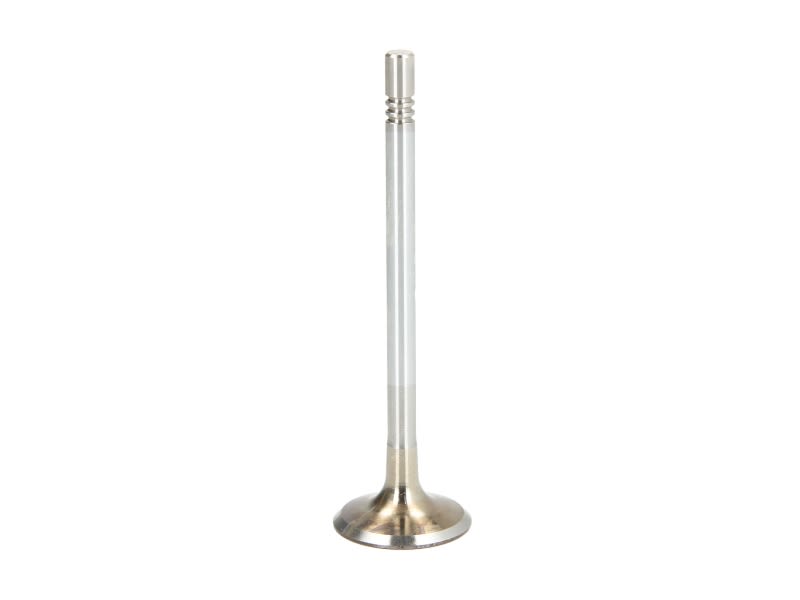 Válvula de admisión FRECCIA R6514/S para Audi A4 B7