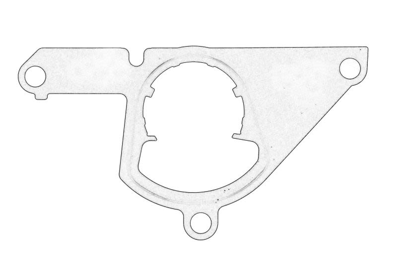 Empaquetadura de bomba de vacío OE FORD 2477194 para Ford Range