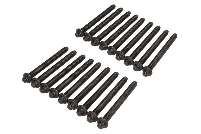 Juego de pernos de culata REINZ 14-10669-03 para Fendt 300 Farme