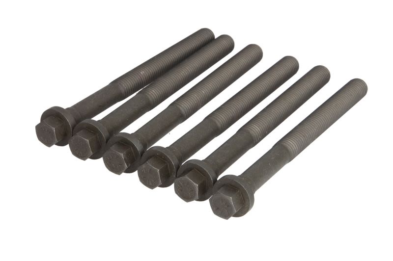 Juego de pernos de culata ELRING 308.560 para Liebherr R D924T/D924TI/D926TI