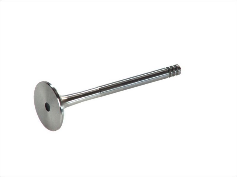 Válvula de escape FRECCIA R4889/BM para Audi A3