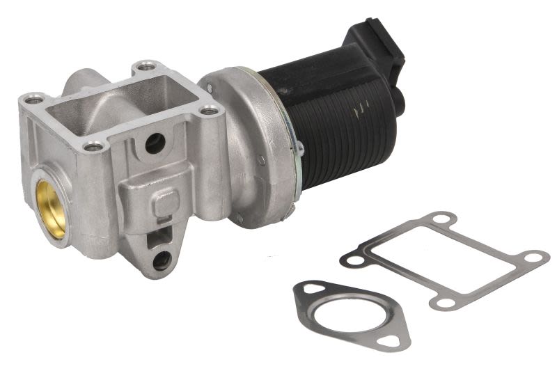 Válvula EGR BORG WARNER 710837D para Opel Astra H