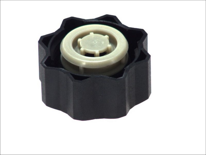 Tapa de estanque de refrigerante TRICLO 311319 para DS DS 3