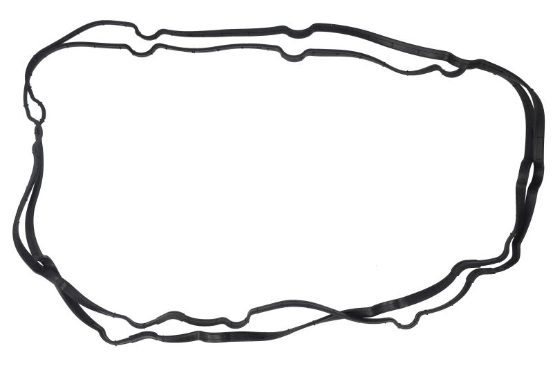 Empaquetadura de cárter de aceite REINZ 71-11322-00 para DAF CF