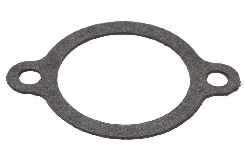 Empaquetadura del termostato QUICKSILVER 8M0079167