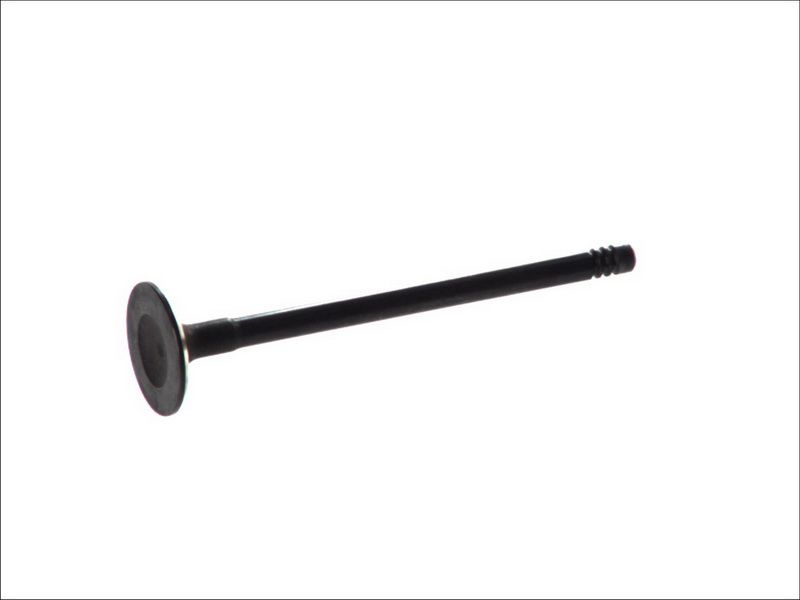 Válvula de admisión FRECCIA R6464/SNT para Ford Fiesta V
