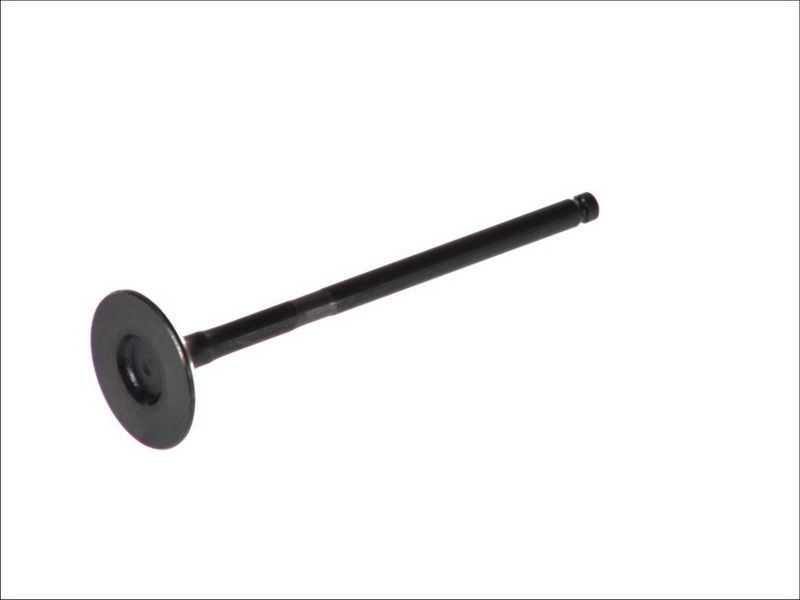 Válvula de escape FRECCIA R6295/RNT para Toyota Camry