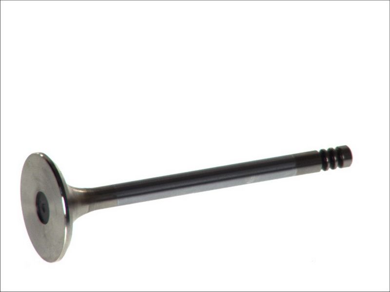 Válvula de escape FRECCIA R3636/BMARCR para BMW Serie 3 (E21) 1980-1984