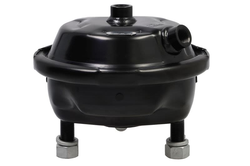 Cilindro de freno de diafragma DT SPARE PARTS 5.70379 para DAF XF