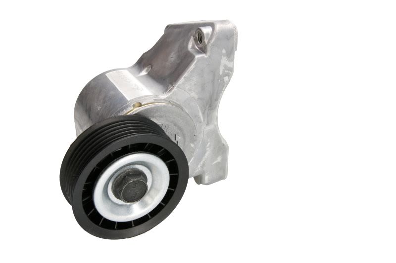 Palanca tensora de correa multicanal INA 534 0032 10 para Ford Focus I