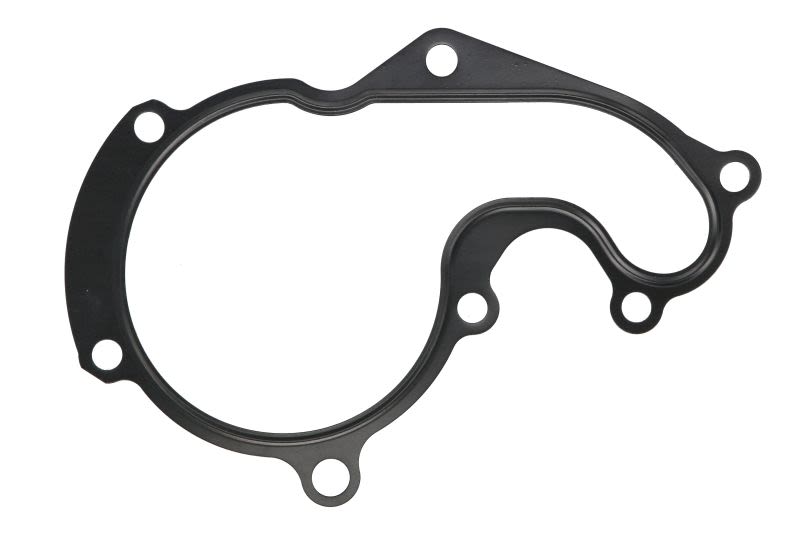 Empaquetadura de bomba de agua ELRING 027.811 para Ford Transit Connect