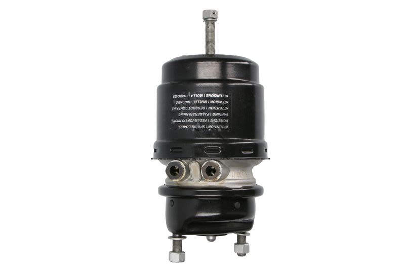 Cilindro pretensor DT SPARE PARTS 4.72196 para Mercedes-Benz Atego