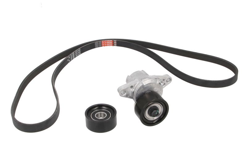 Juego de correa multinervada GATES K015PK1750 para Renault Clio II