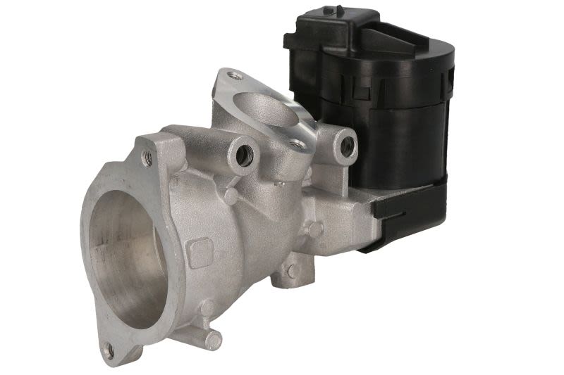 Válvula EGR DELPHI EG10591-12B1 para Fiat Strad