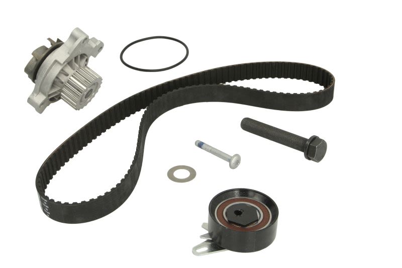 Kit de bomba de agua y correa de distribución INA 530 0173 30 para Audi A6 C4