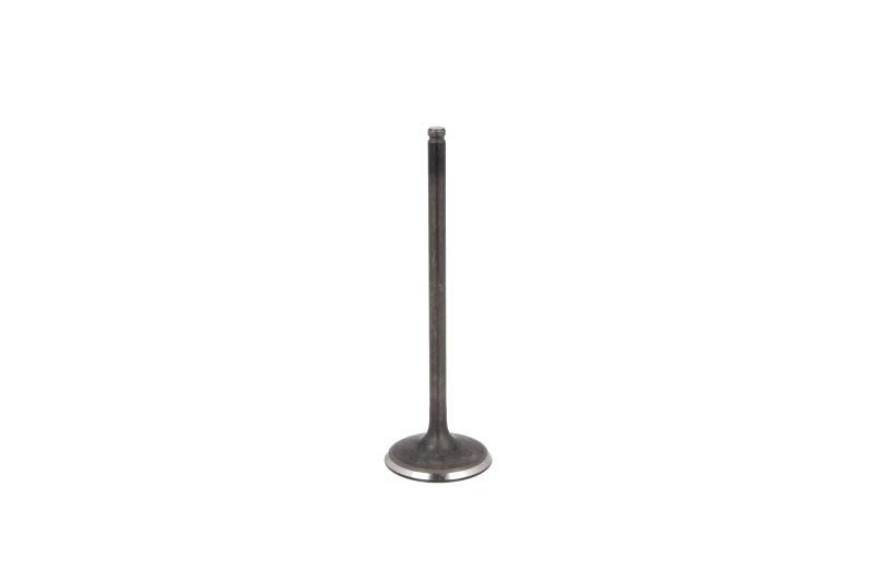 Válvula de admisión FRECCIA R6555/SNT para Honda Accord VII