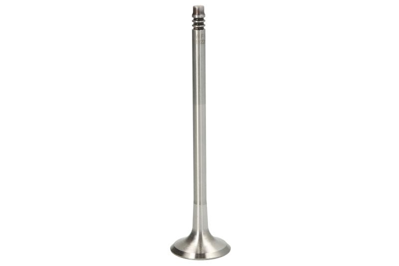 Válvula de escape TRW 111225 para BMW Serie 1 (E81) 2006-2011