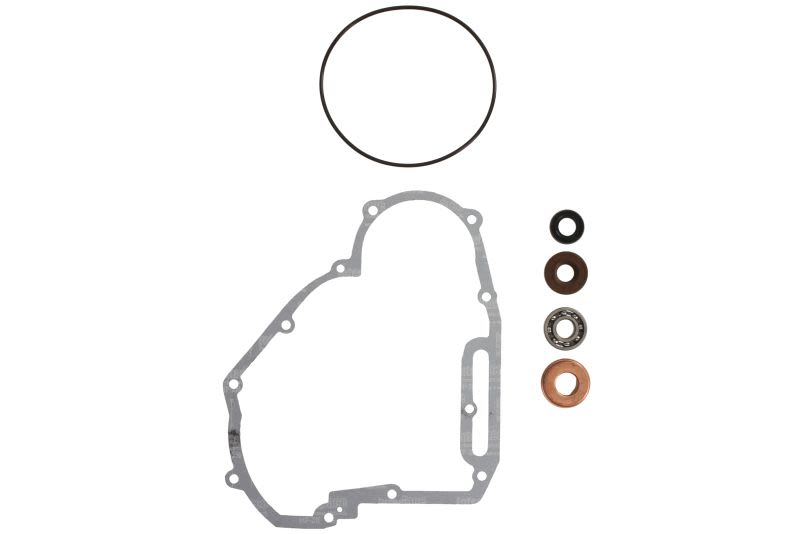 Kit de reparación para bomba de agua WINDEROSA W821891 para Polaris Frontie