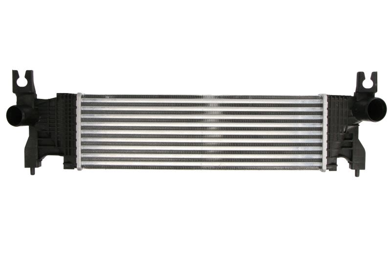 Enfriador de aire de carga (intercooler) THERMOTEC DA8003TT para Abarth 500E