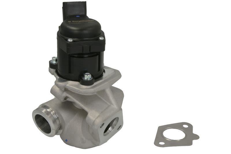 Válvula EGR BORG WARNER 710929D para Citroen C3 I