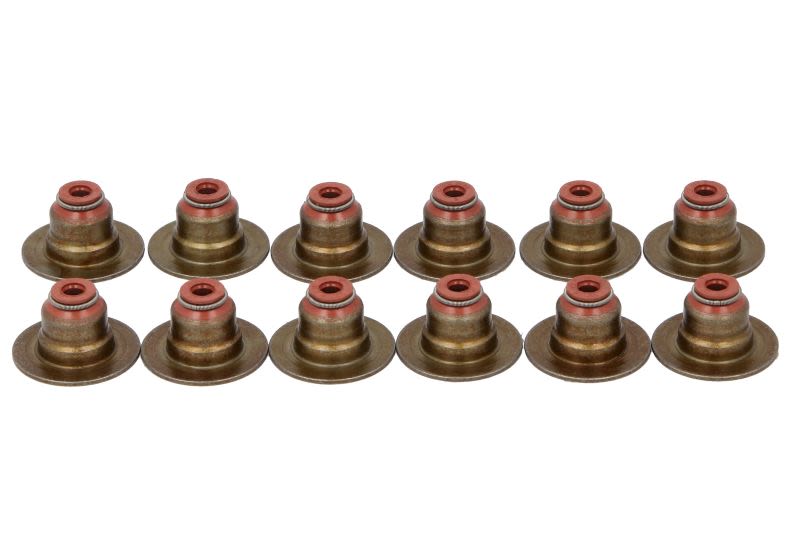 Juego de retenes de vástago de válvula REINZ 12-12155-01 para Citroen C3 Aircross II