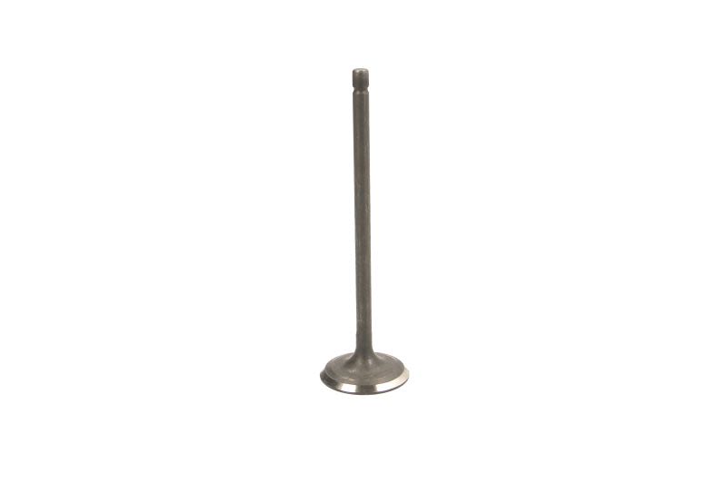 Válvula de admisión FRECCIA R6560/SNT para Toyota Coroll