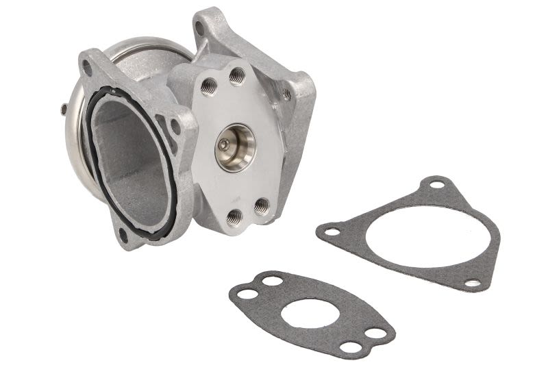 Válvula EGR BORG WARNER 7496D para Audi A3