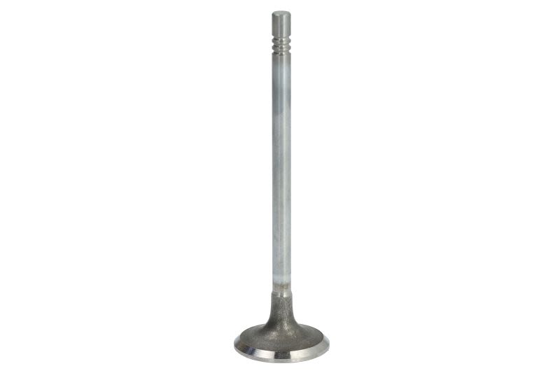 Válvula de admisión FRECCIA R6988/SCR para Ford Transit Custom V362