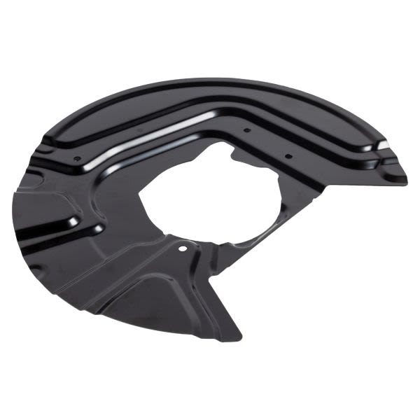 Protector de disco de freno FEBI 174925 para BMW X3 (E83) 2003-2010
