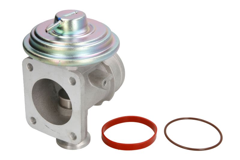 Válvula EGR DELPHI EG10464-12B1 para BMW Serie 3 (E46) 1997-2006