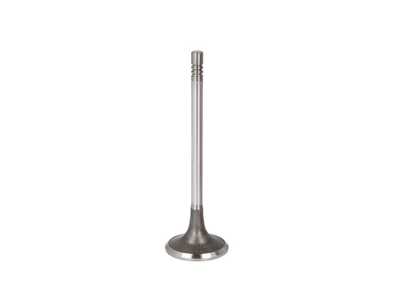 Válvula de admisión FRECCIA R6713/SCR para Ford Fiesta VI