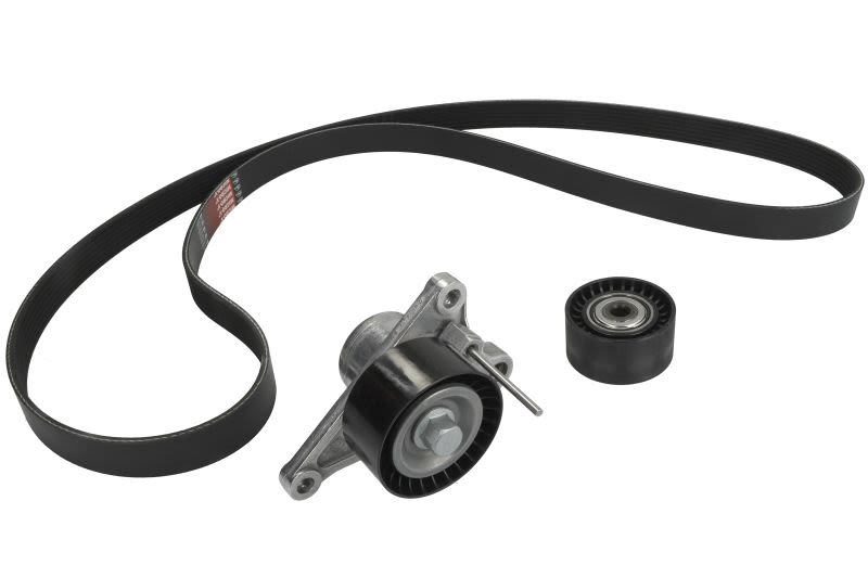 Juego de correa multinervada GATES K027PK1753 para Nissan NV400