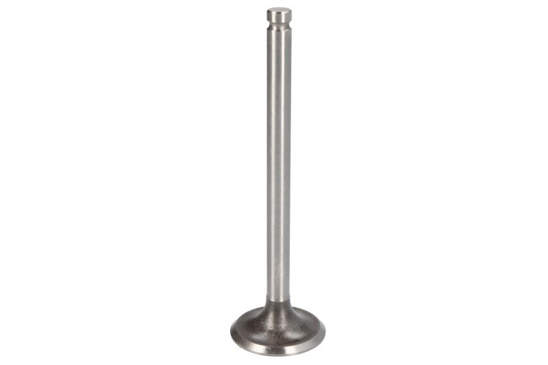 Válvula de escape VAPORMATIC VPA1040 para Albajar 08