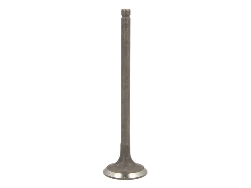 Válvula de escape FRECCIA R6569/RNT para Hyundai I10 I