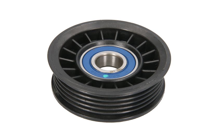 Polea tensora de correa multicanal BTA B05-AG-061 para Ford 5640