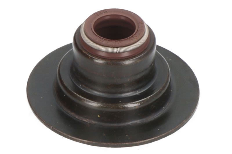 Retén de vástago de válvula REINZ 70-45891-00 para Landini 95