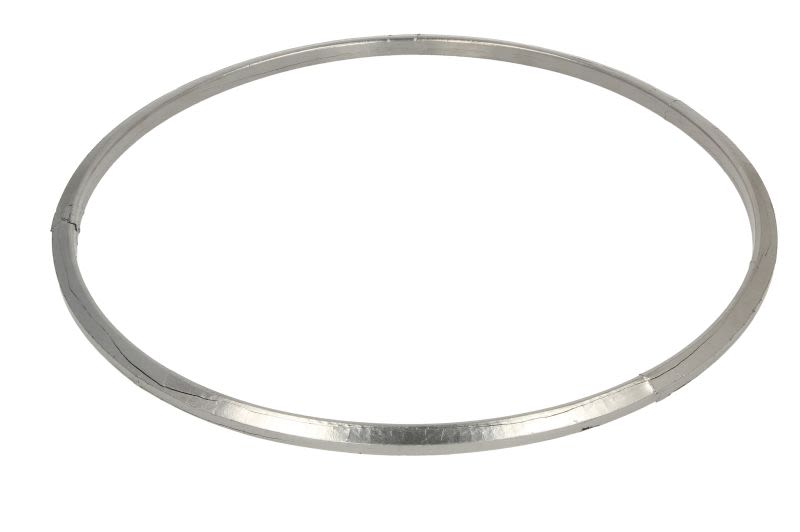 Empaquetadura de escape DINEX 2AL008 para DAF CF