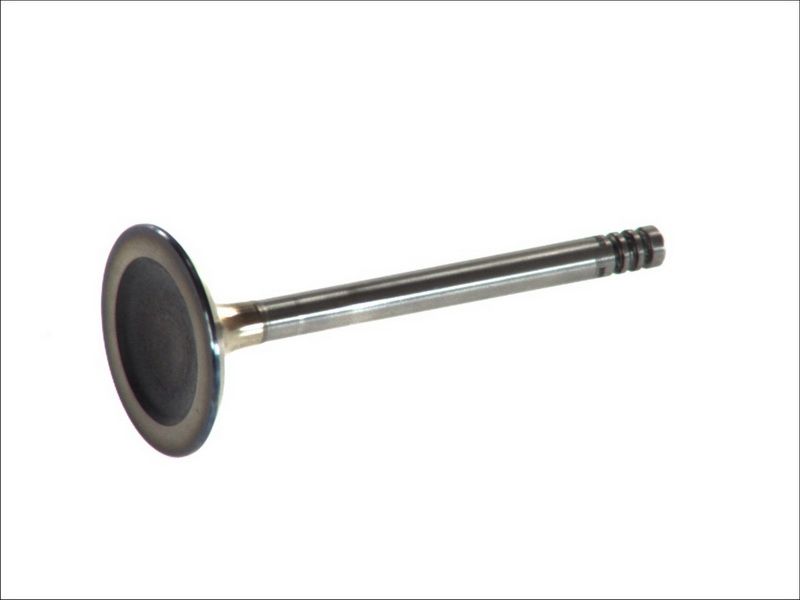 Válvula de admisión FRECCIA R6451/S para Volkswagen Saveiro G1