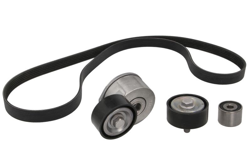 Juego de correa multinervada GATES K016PK1438 para Peugeot 206