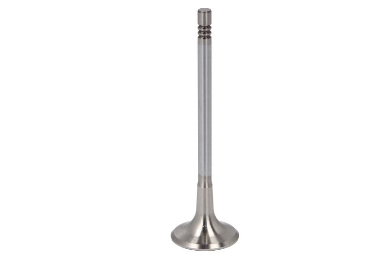 Válvula de escape TRW 539047 para Citroen C3 II